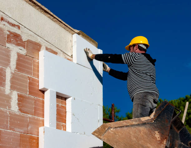 Best Cellulose Insulation in Crystal City, TX