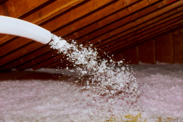 Best Spray Foam Insulation in Crystal City, TX