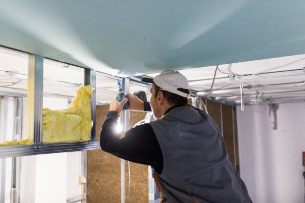 Types of Insulation We Offer in Crystal City, TX