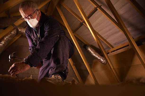 Best Specialized Insulation Services in Crystal City, TX